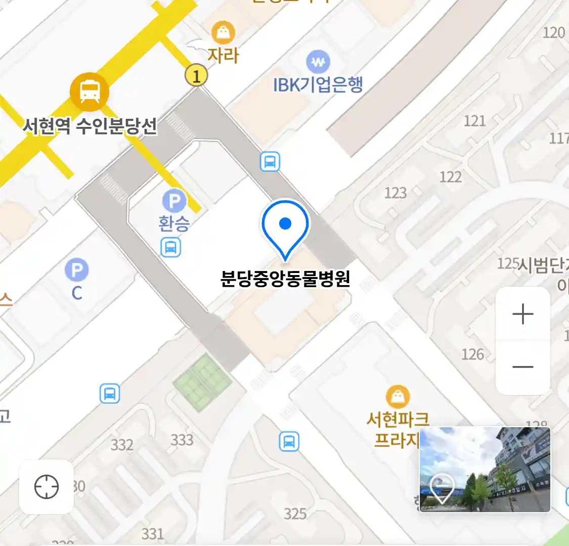 분당중앙동물병원