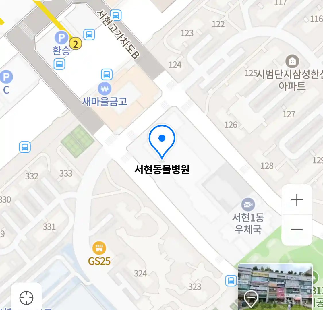 서현동물병원