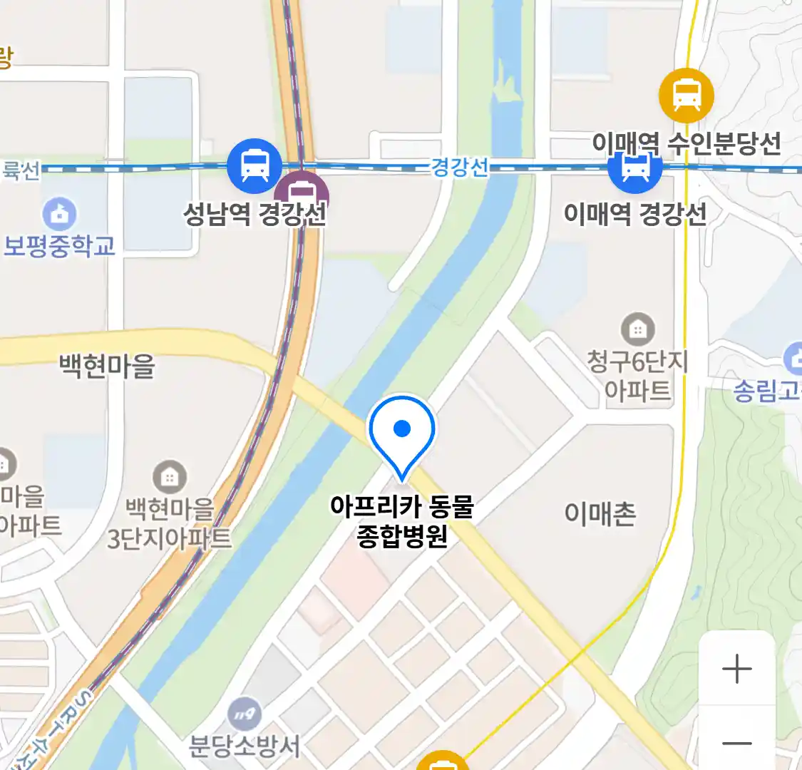아프리카 동물 종합병원