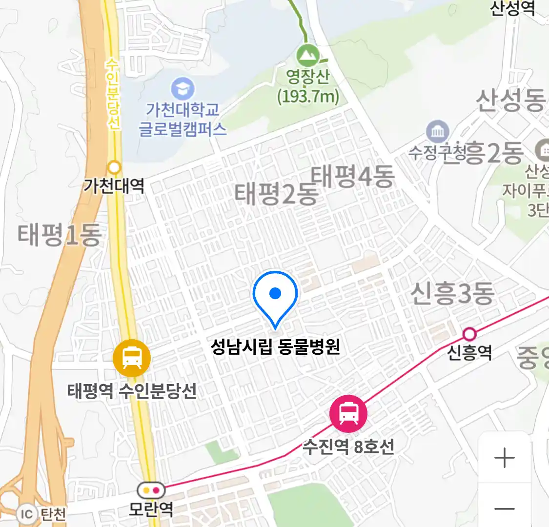 성남시립 동물병원
