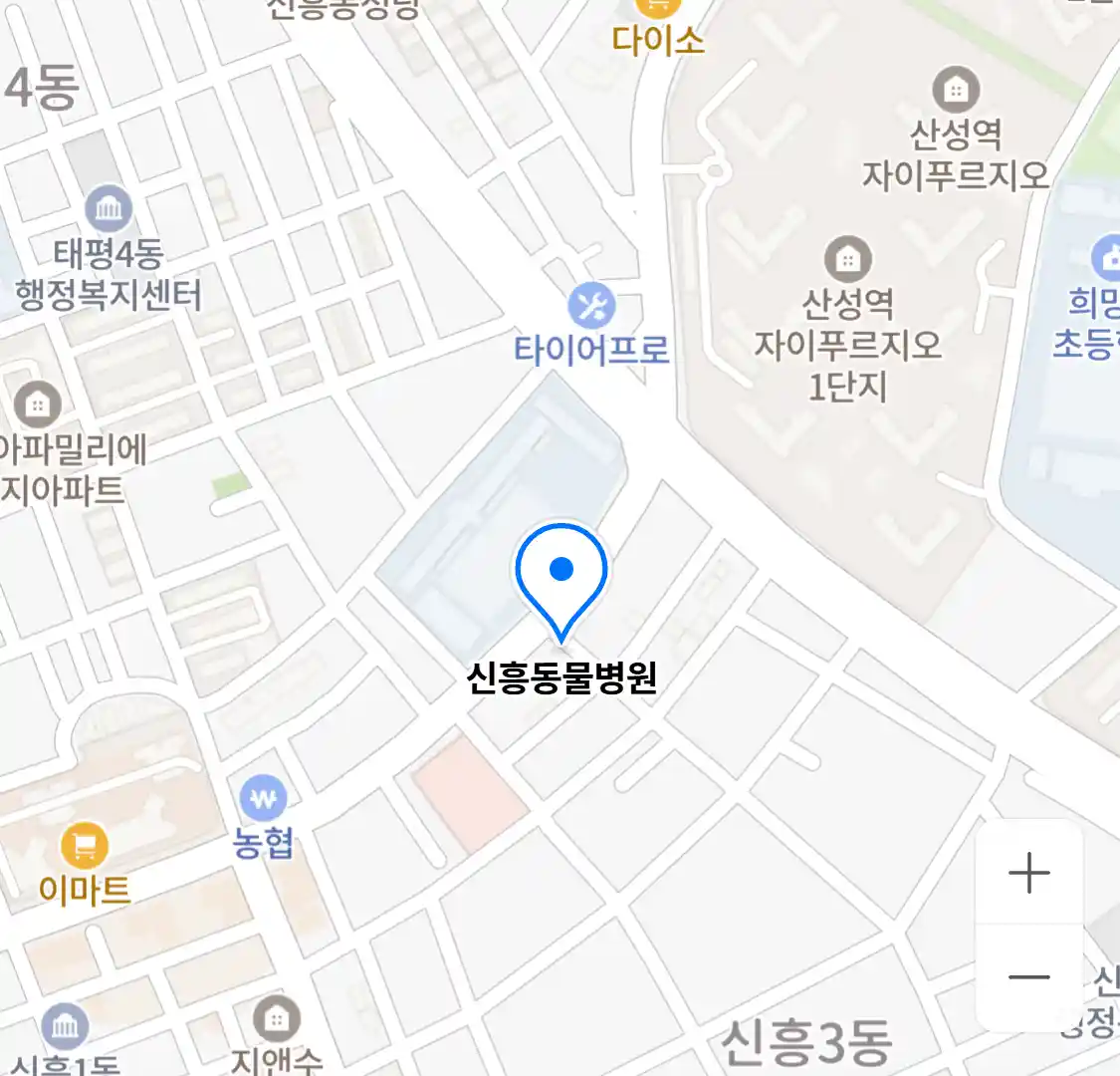 신흥동물병원