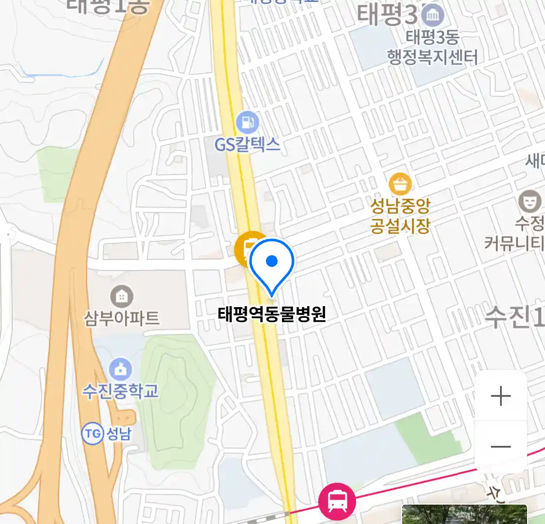 태평역동물병원