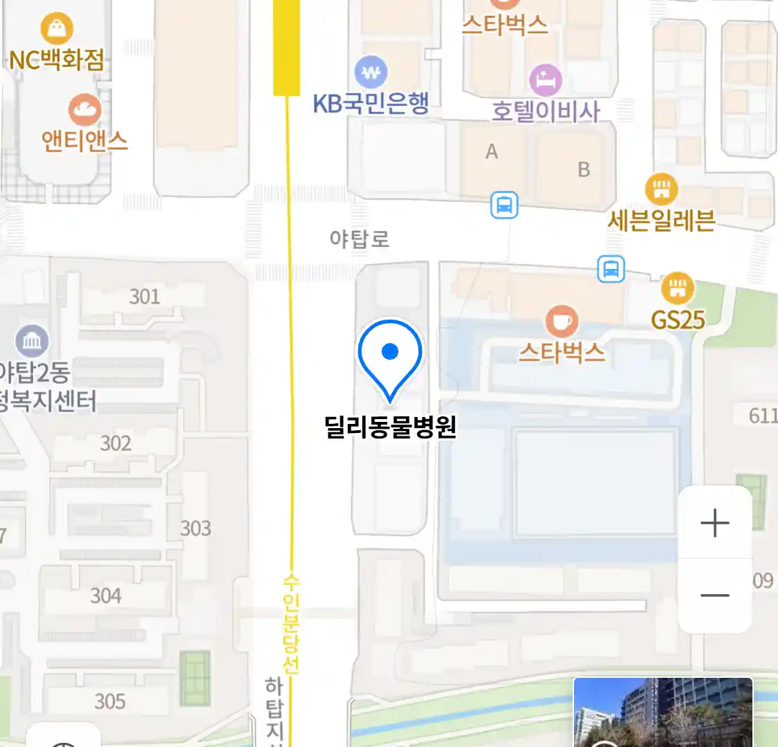 딜리동물병원