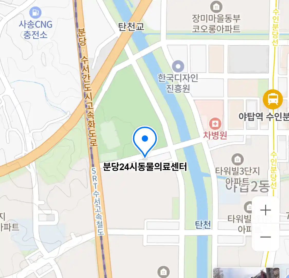 분당24시동물의료센터