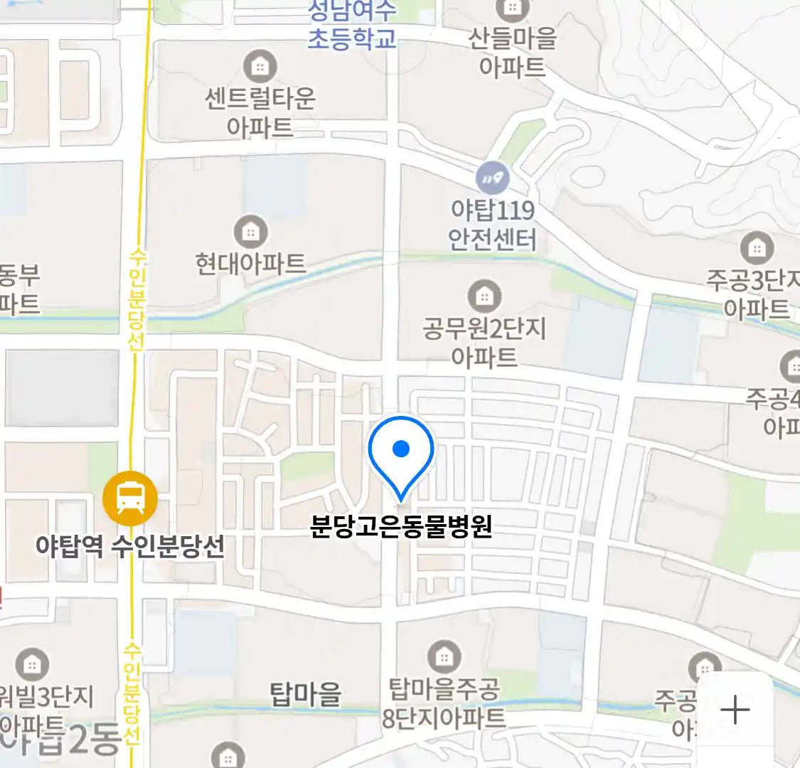 분당고은동물병원