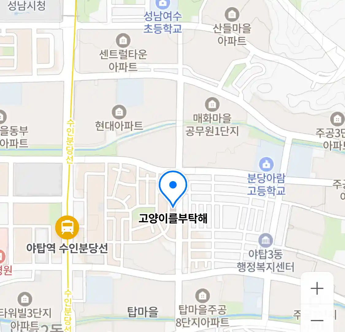 고양이를부탁해