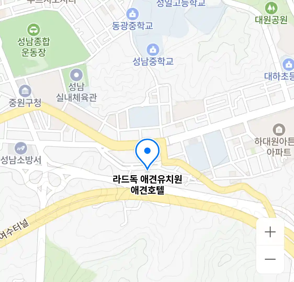 라드독 애견유치원 애견호텔