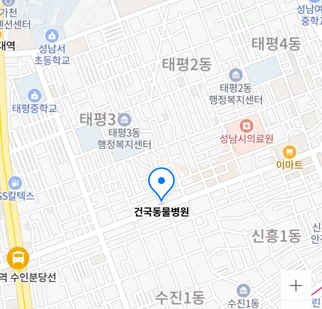 건국동물병원