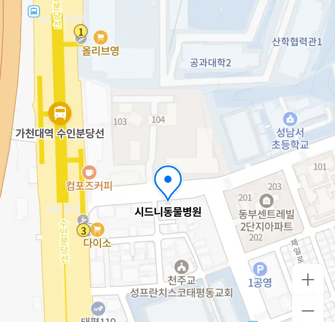 시드니동물병원