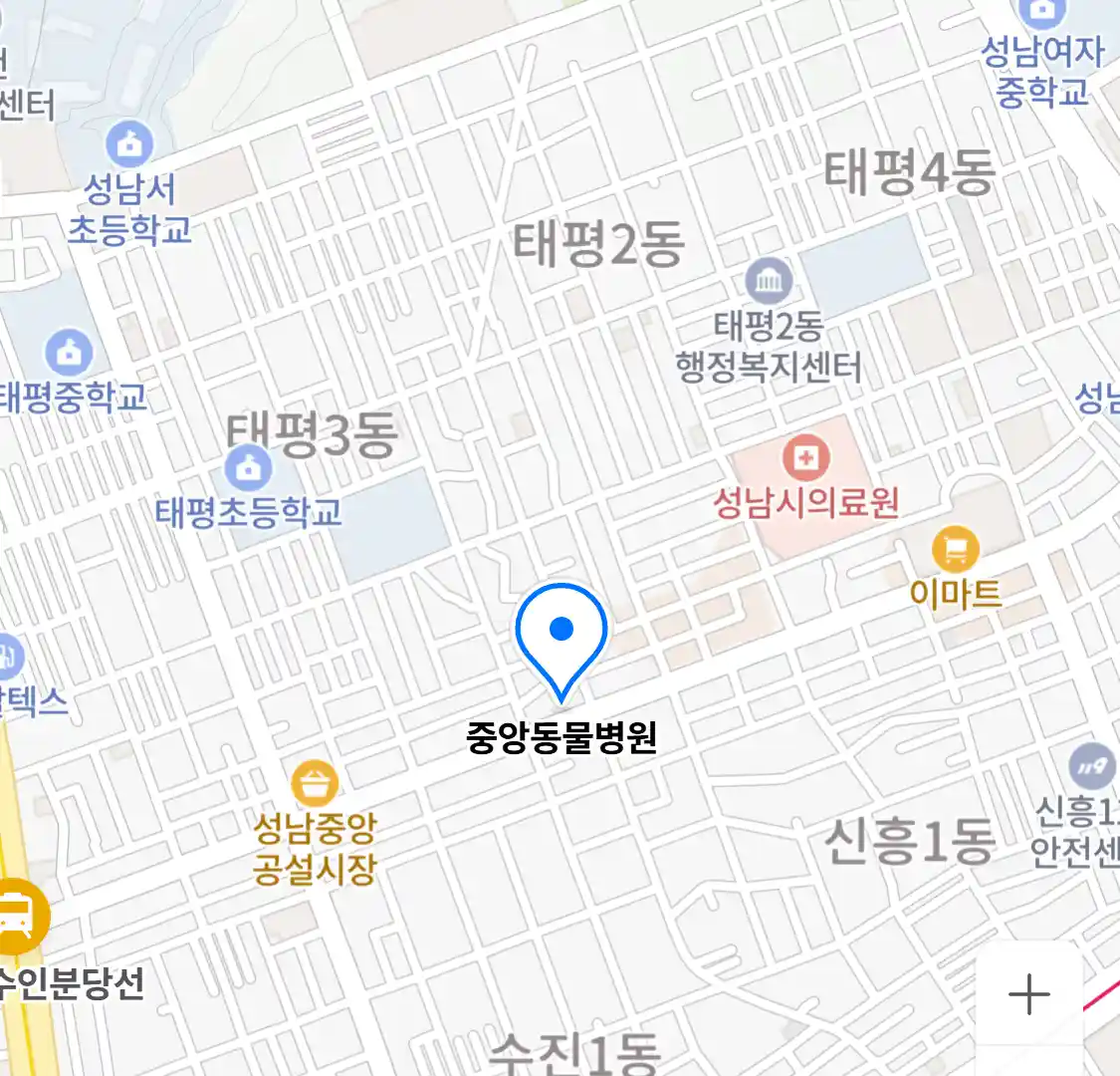 중앙동물병원