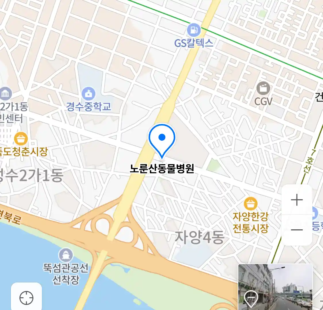 노룬산동물병원