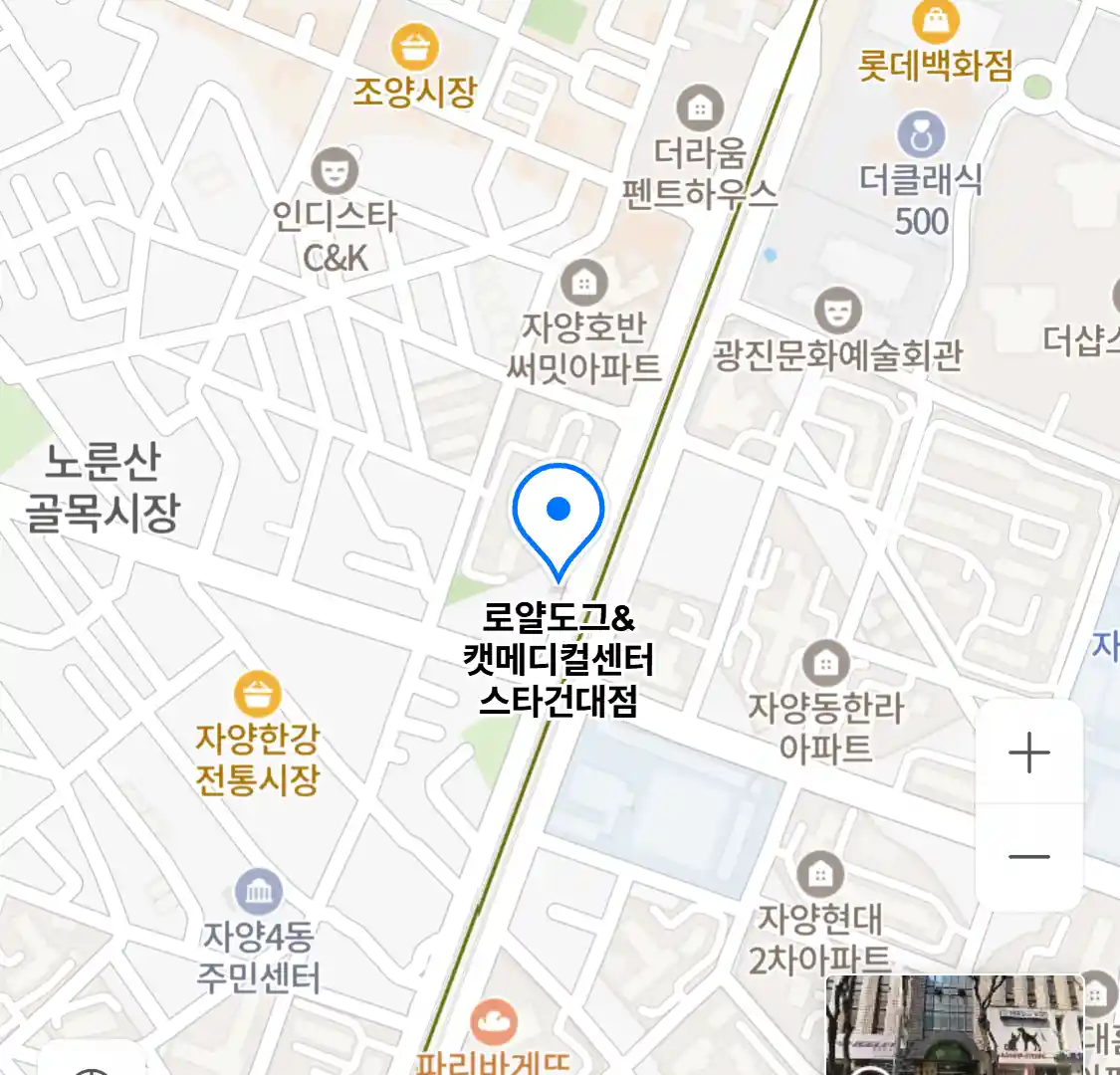로얄도그&캣메디컬센터 스타건대점