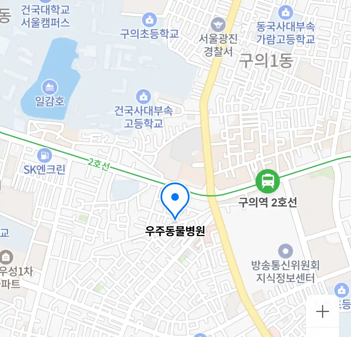 우주동물병원