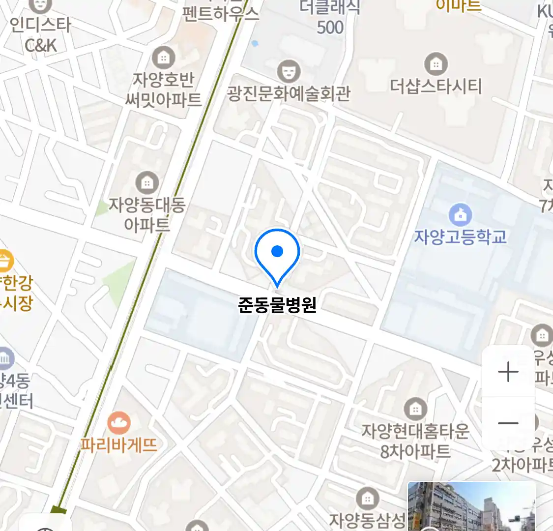 준동물병원