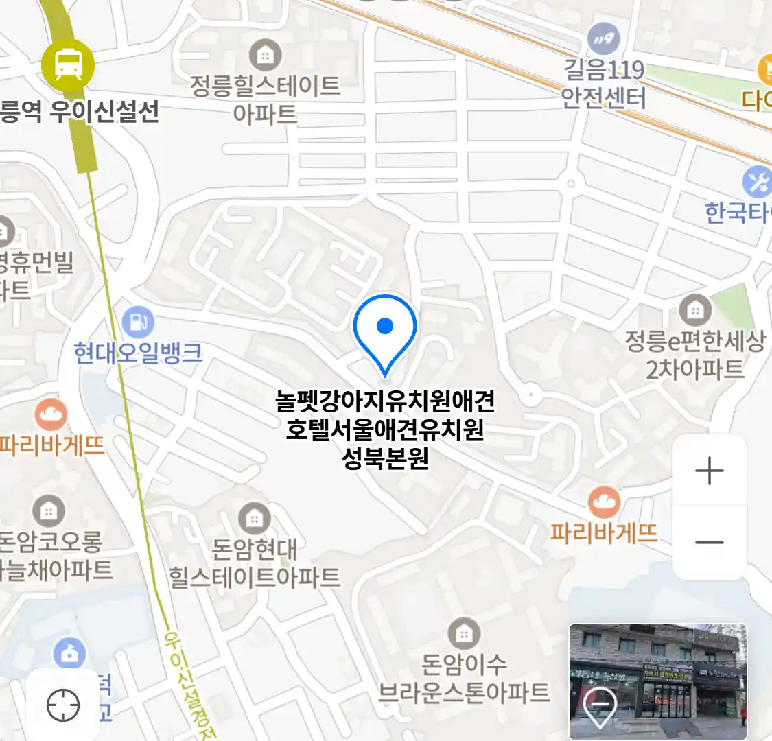 놀펫강아지유치원애견호텔서울애견유치원 성북본원
