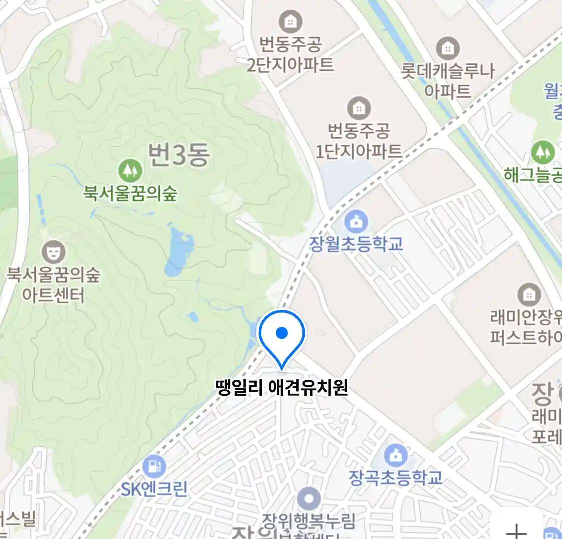 땡일리 애견유치원