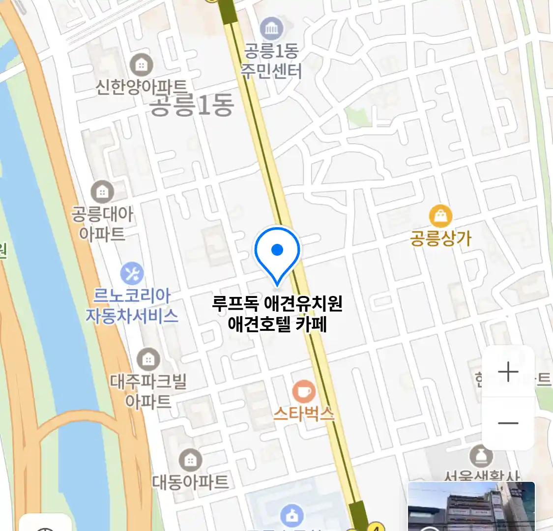 루프독 애견유치원 애견호텔 카페