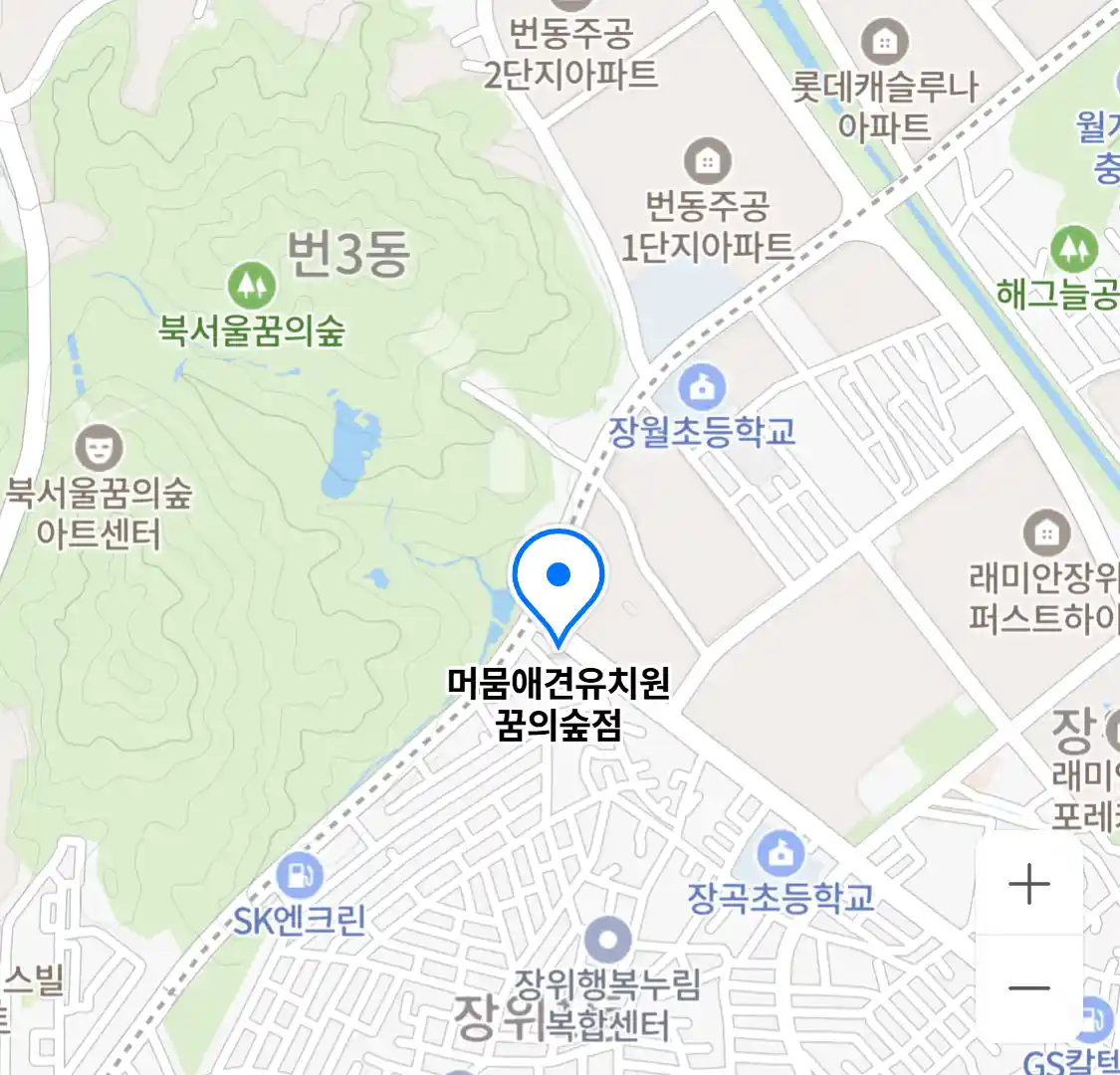 머뭄애견유치원 꿈의숲점