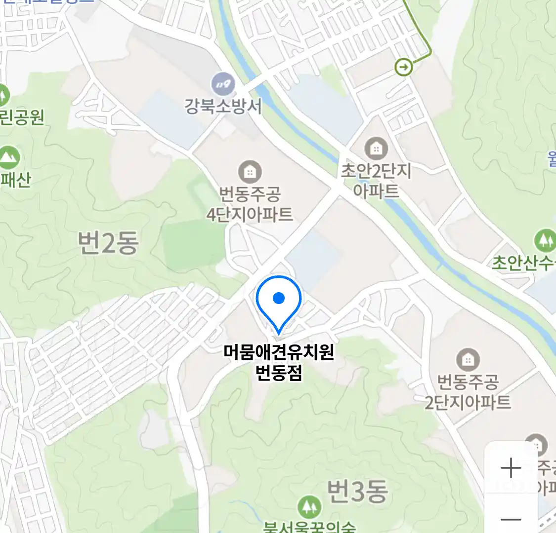 머뭄애견유치원 번동점