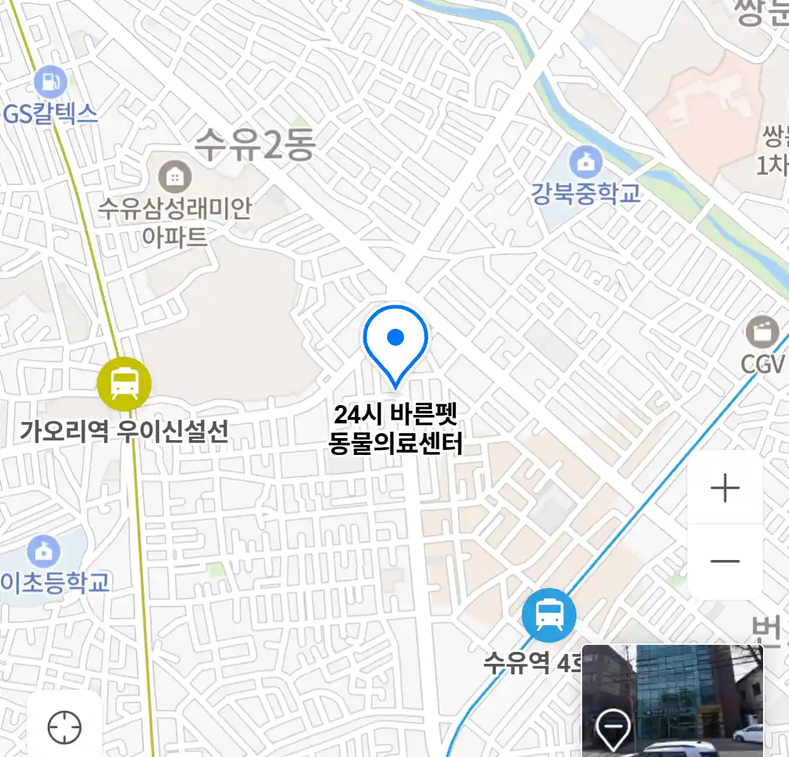 24시 바른펫 동물의료센터