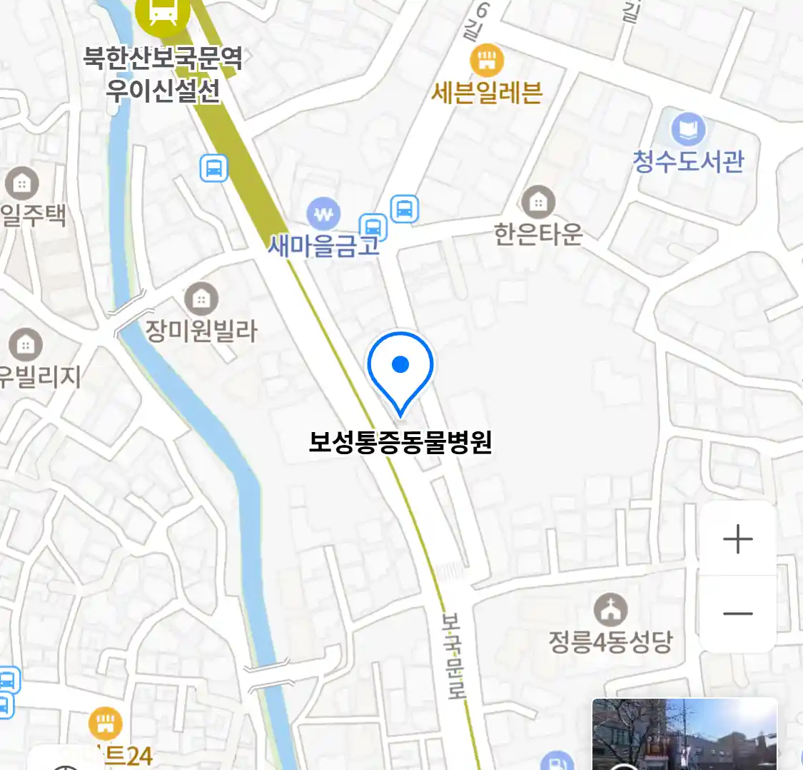 보성통증동물병원