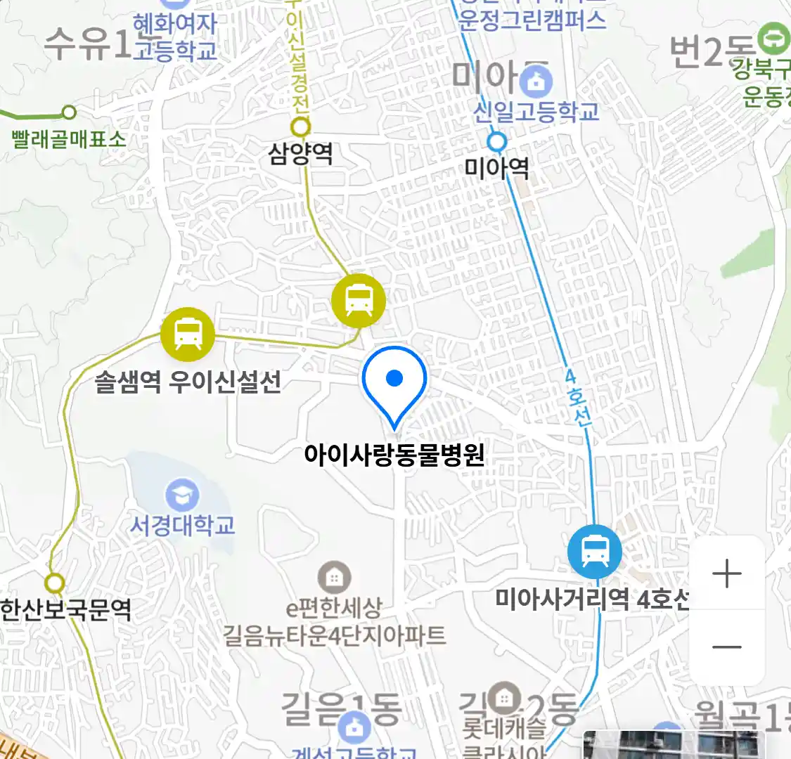아이사랑동물병원