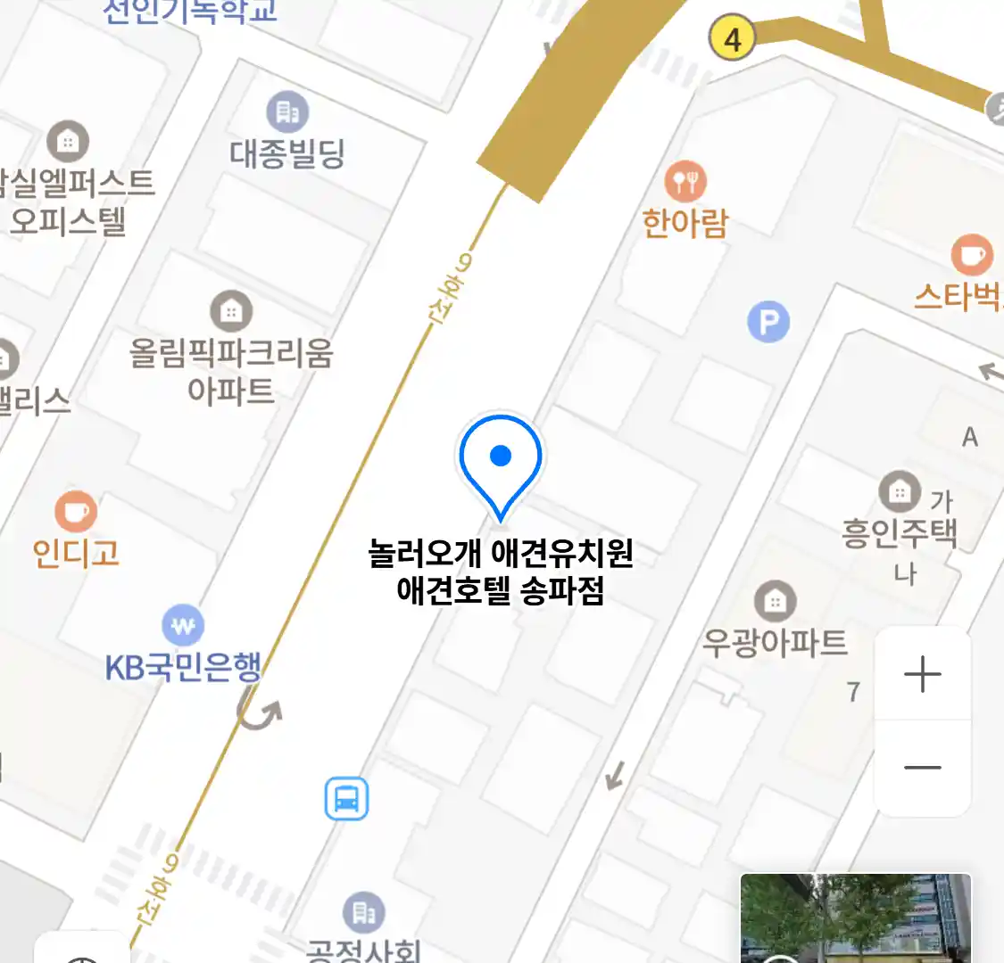 놀러오개 애견유치원 애견호텔 송파점