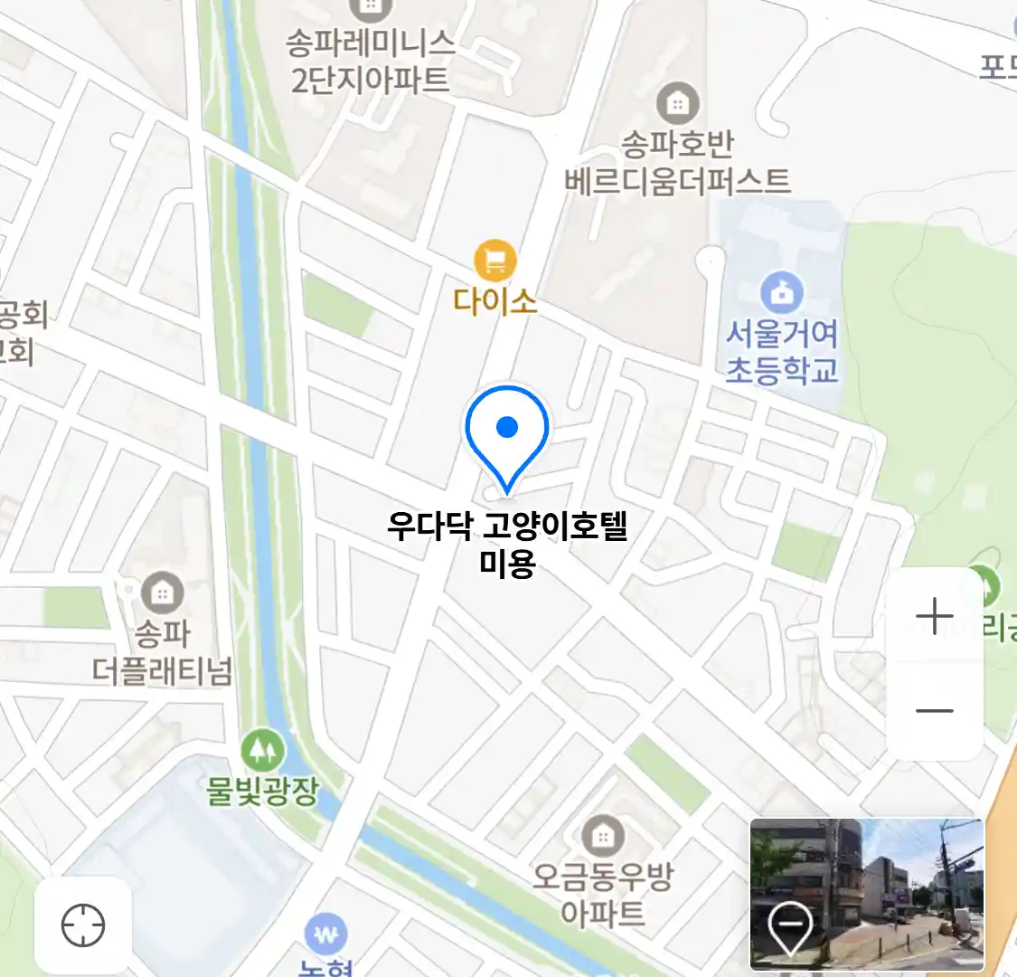 우다닥 고양이호텔 미용