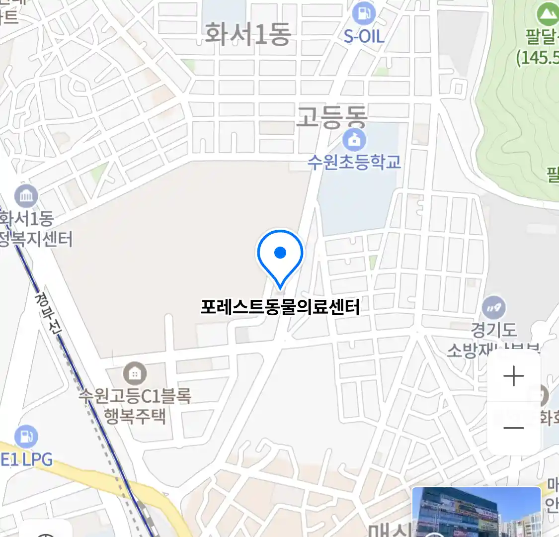 포레스트동물의료센터