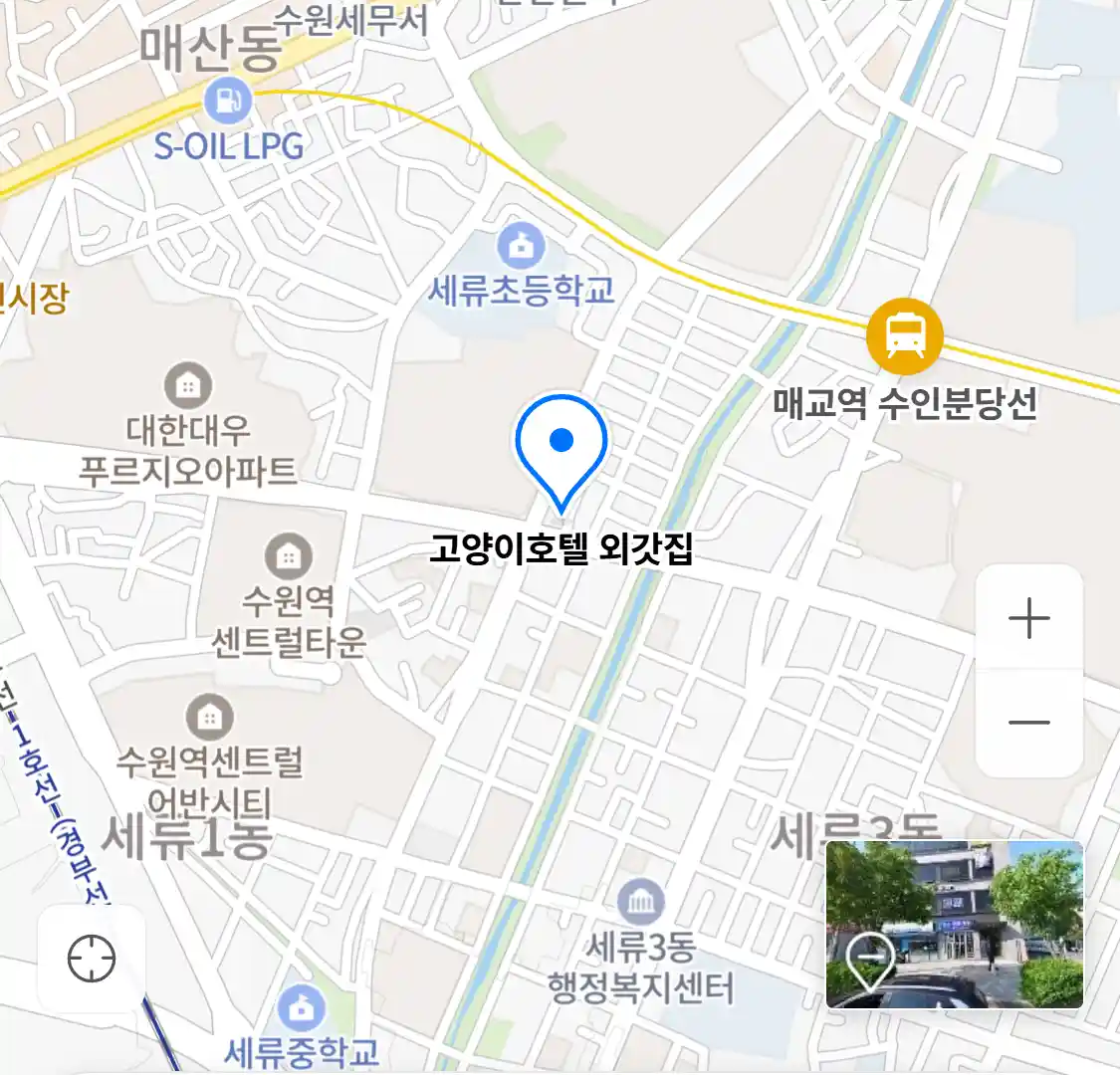 고양이호텔 외갓집
