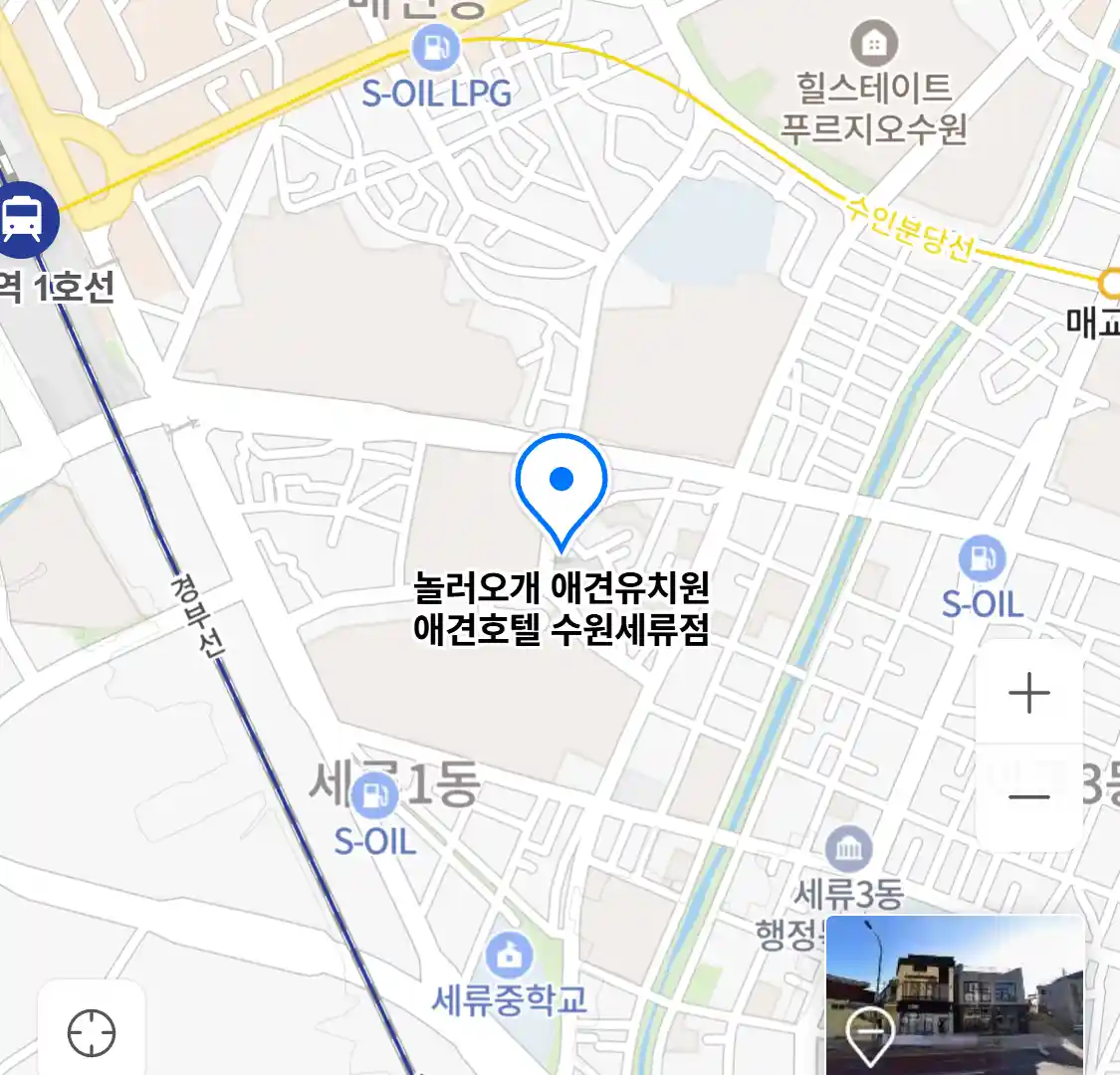 놀러오개 애견유치원 애견호텔 수원세류점