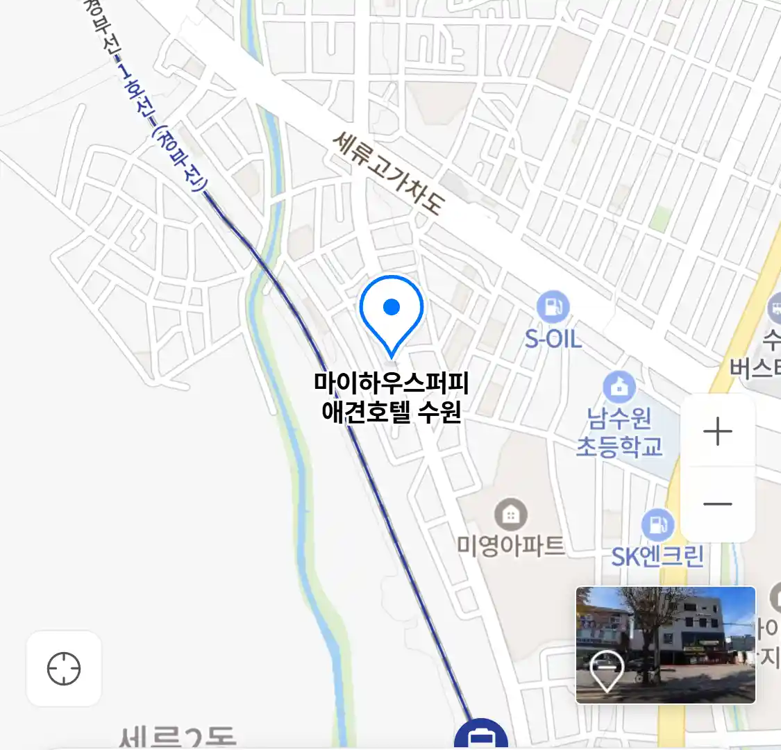 마이하우스퍼피 애견호텔 수원