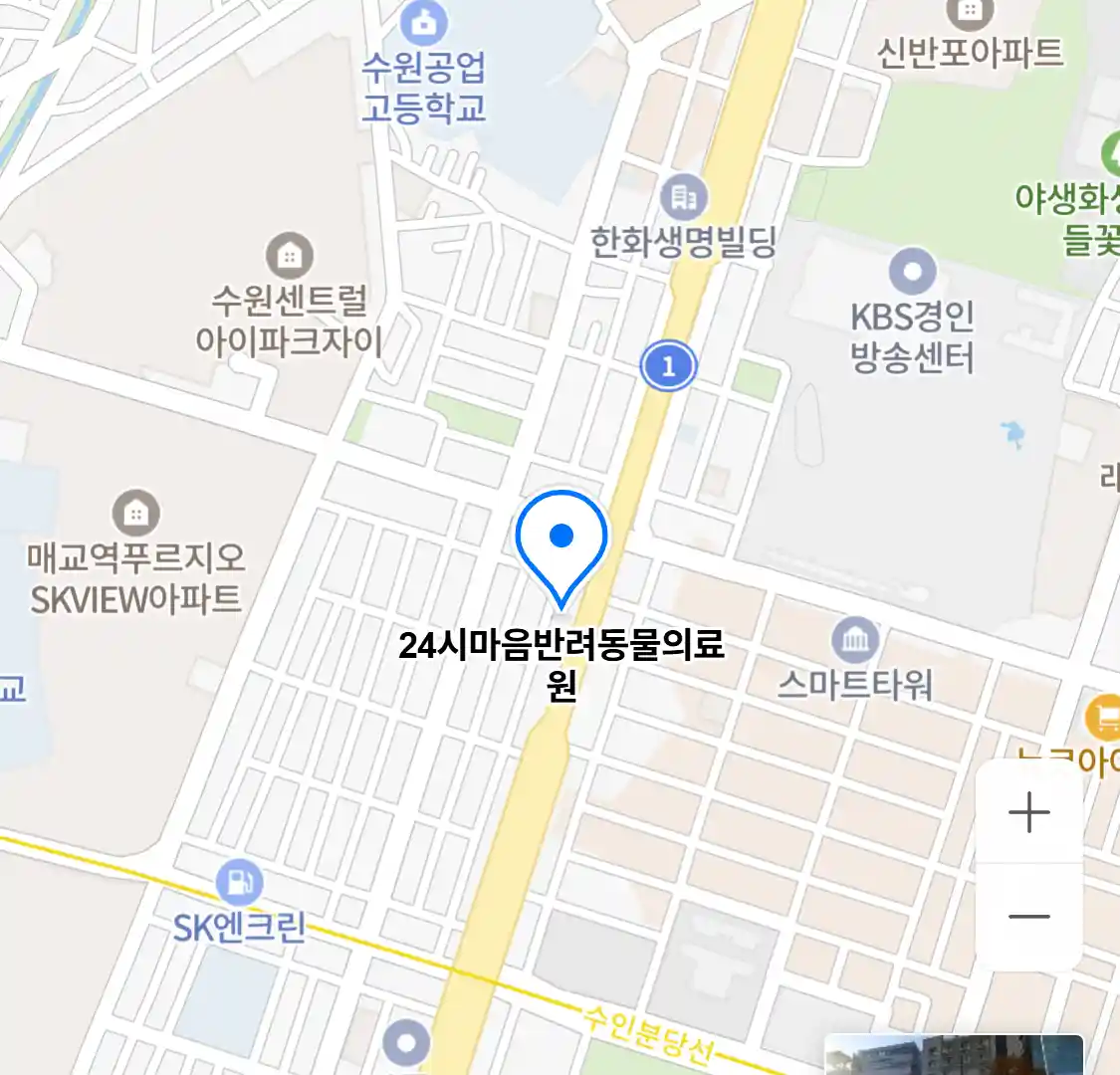 24시마음반려동물의료원