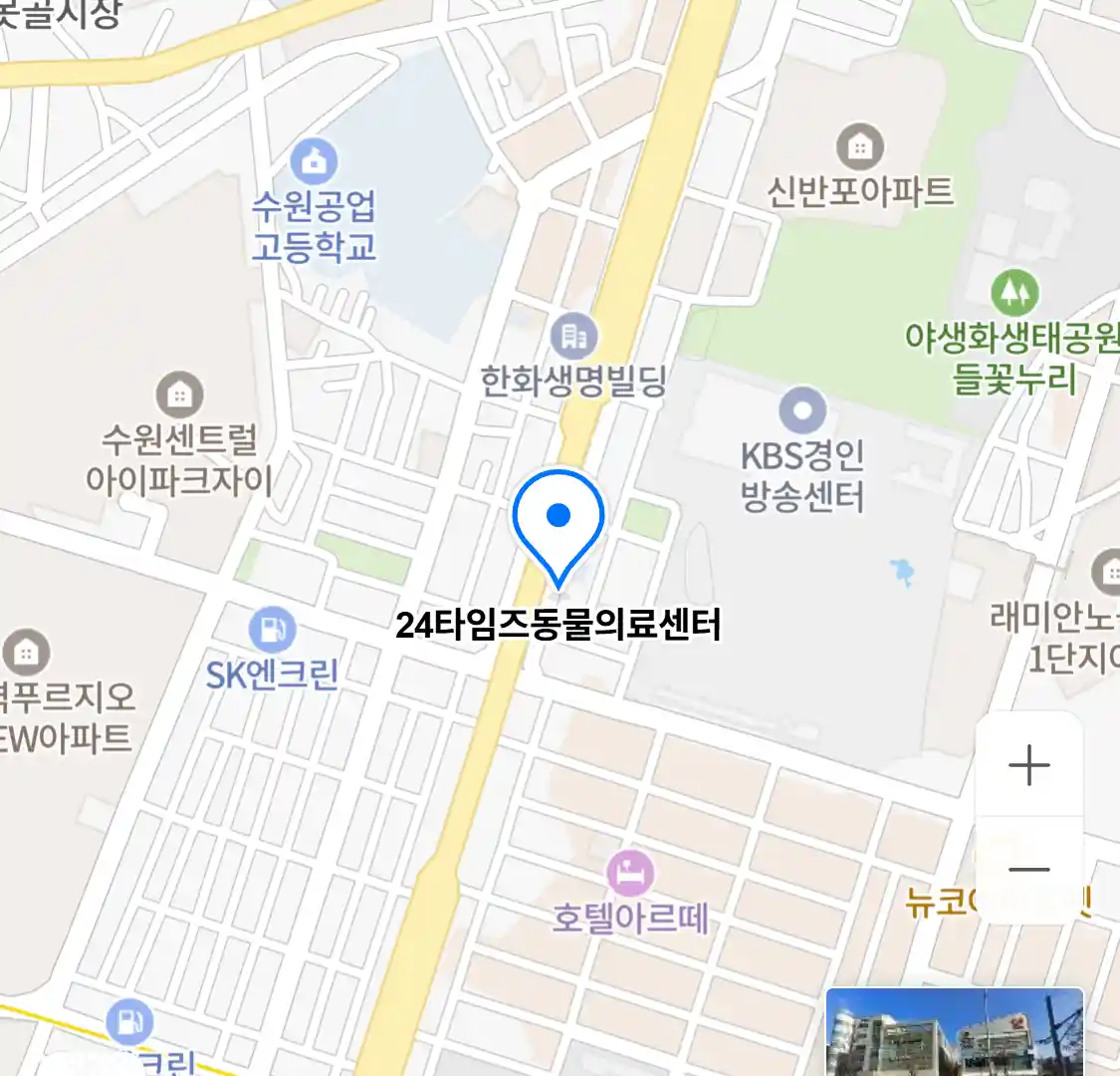 24타임즈동물의료센터