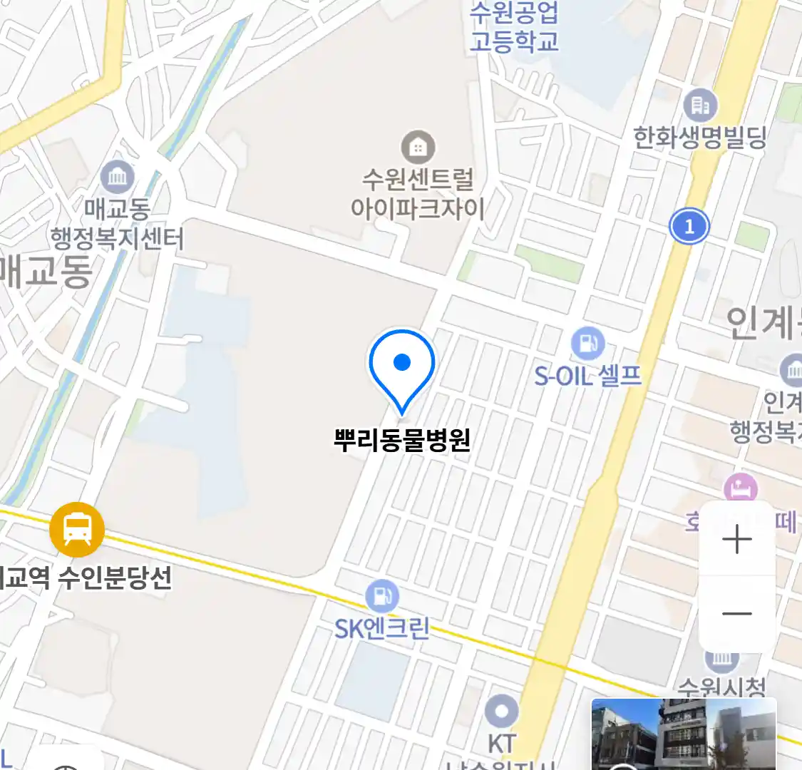 뿌리동물병원