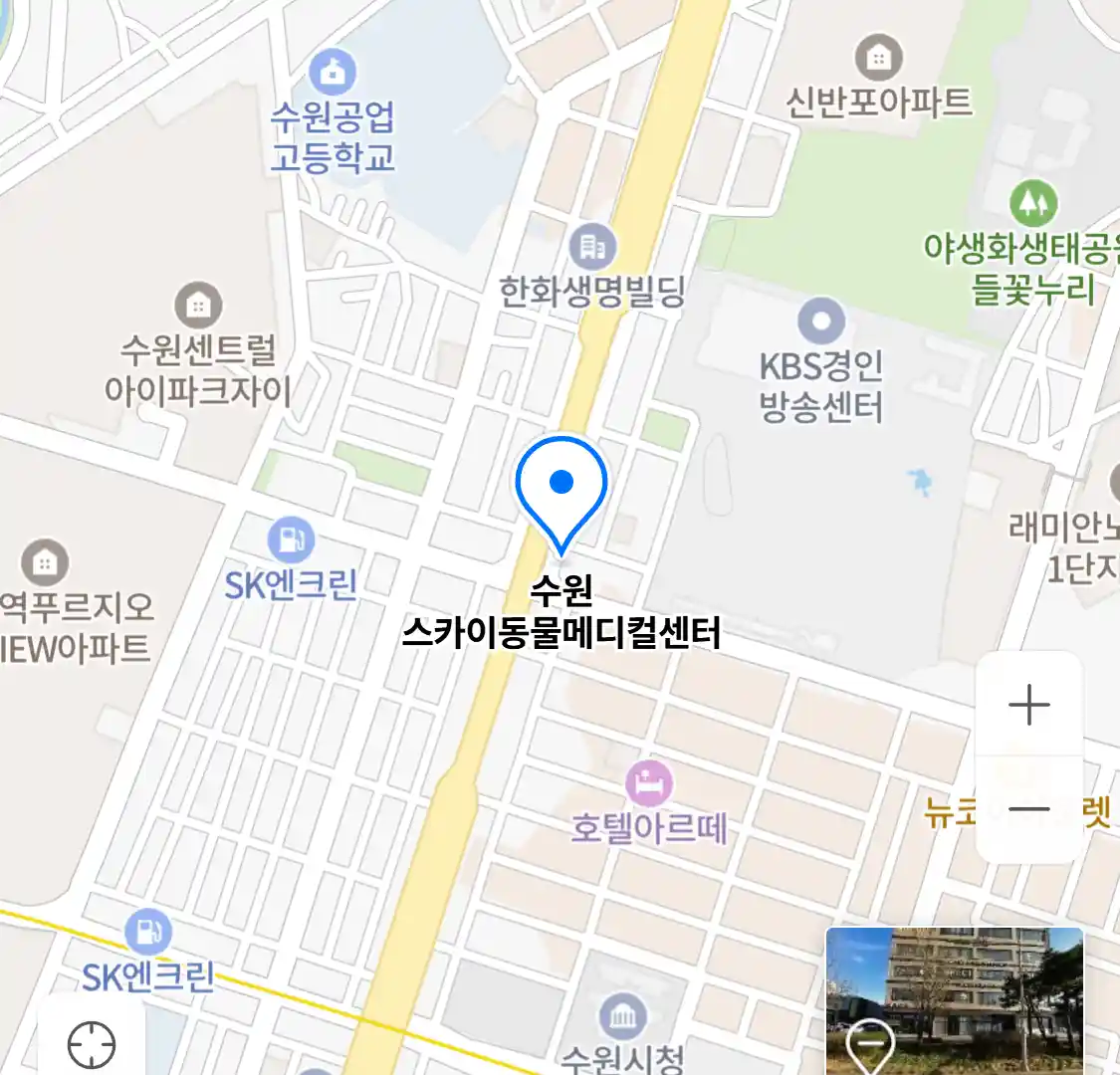 수원 스카이동물메디컬센터