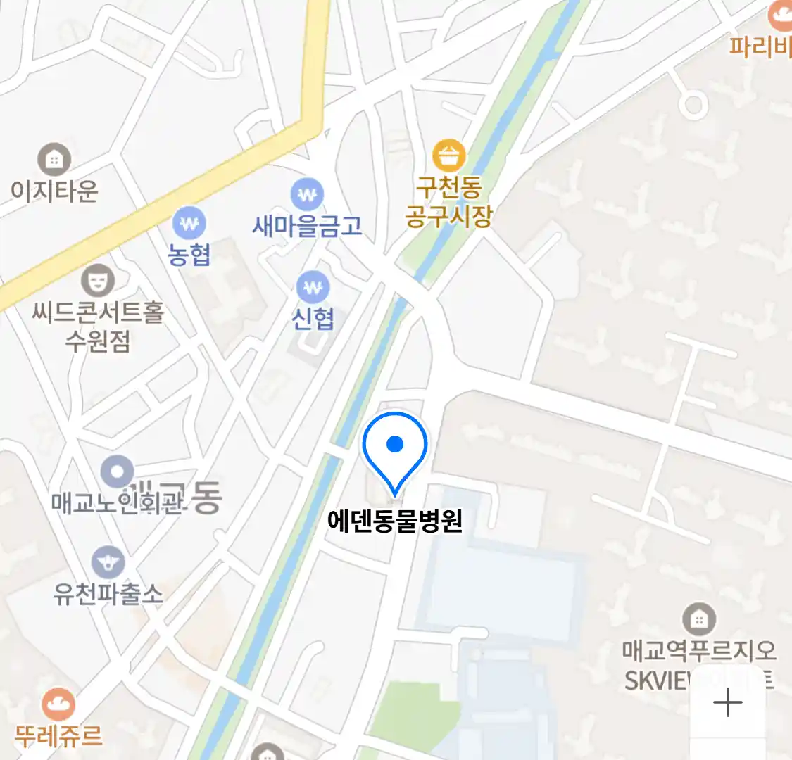 에덴동물병원