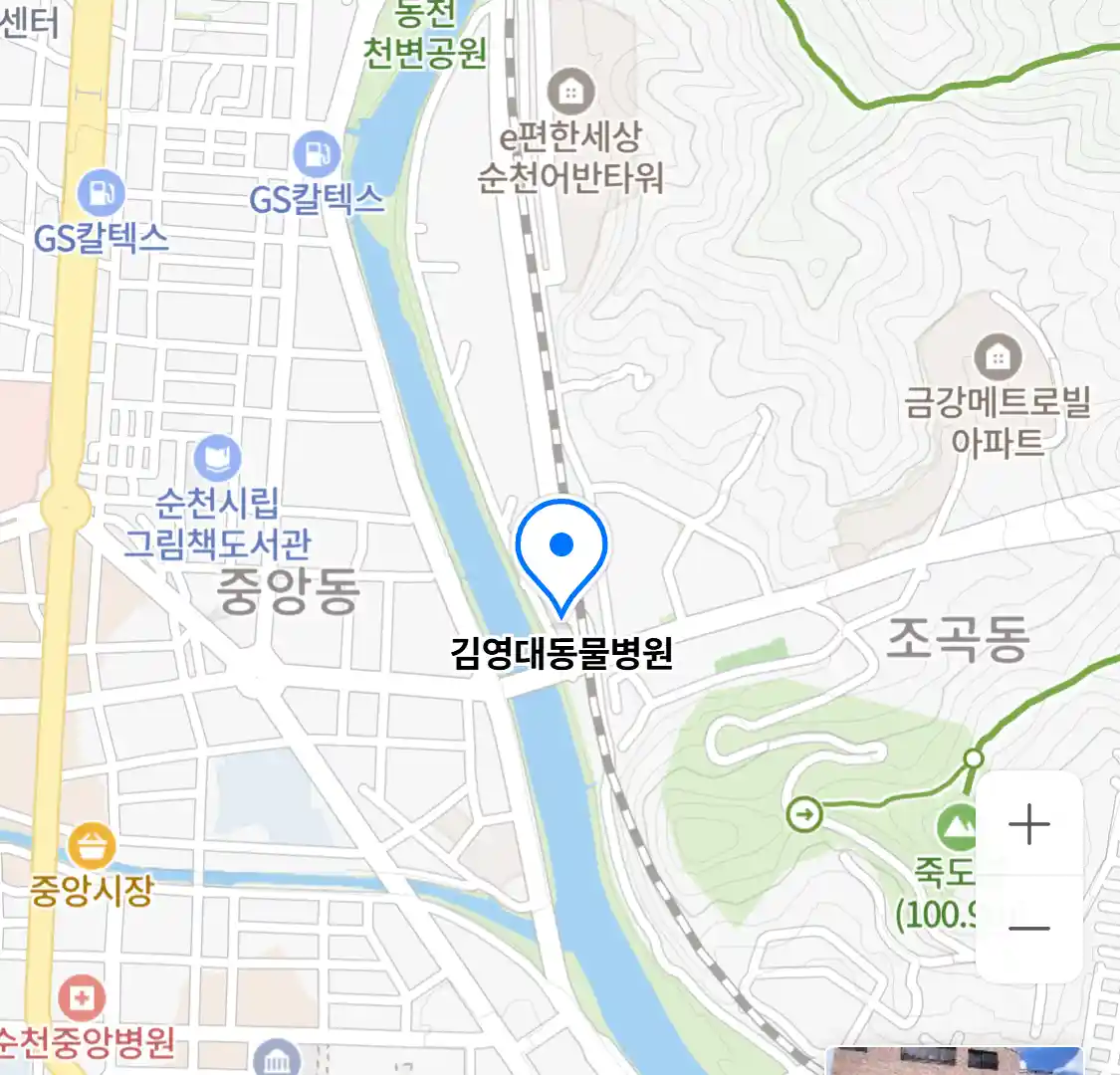 김영대동물병원