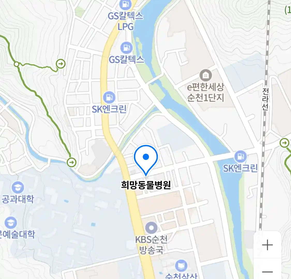 희망동물병원