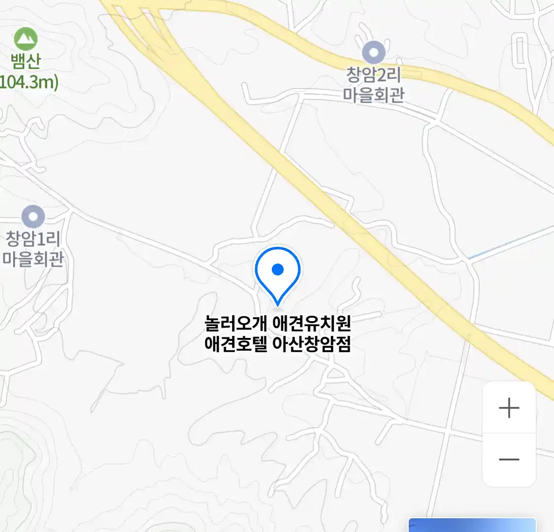 놀러오개 애견유치원 애견호텔 아산창암점