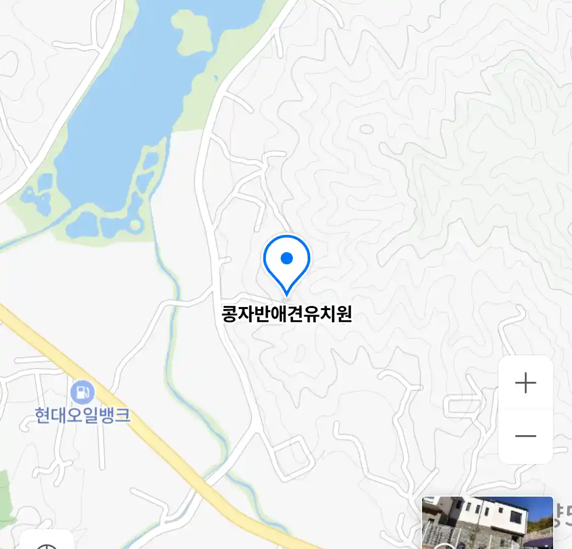 콩자반애견유치원