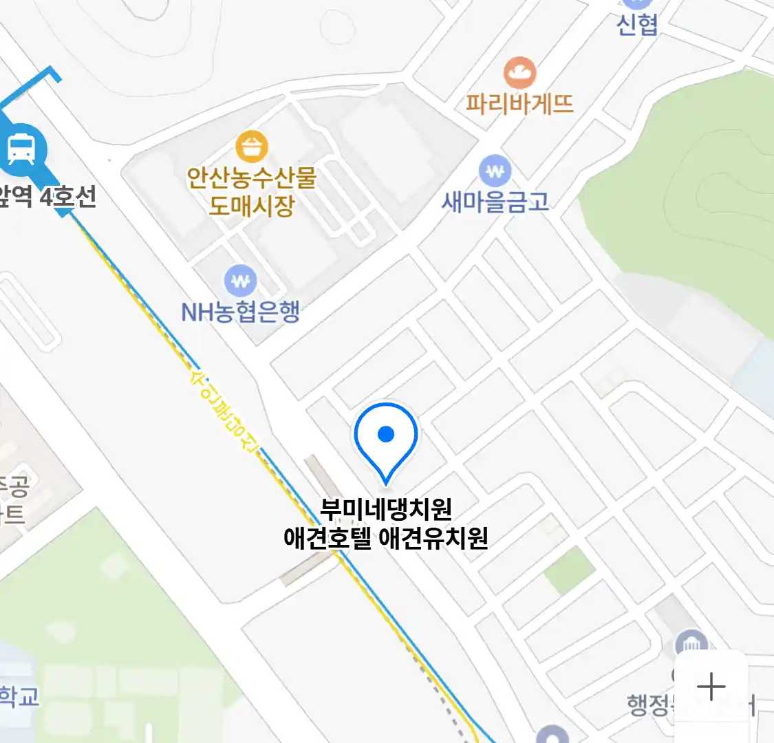 부미네댕치원 애견호텔 애견유치원