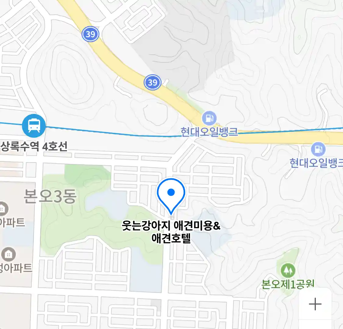 웃는강아지 애견미용&애견호텔
