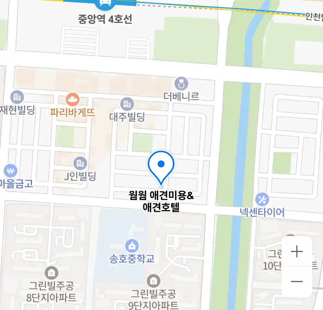 웜웜 애견미용&애견호텔