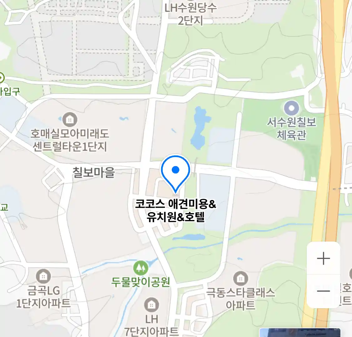 코코스 애견미용&유치원&호텔