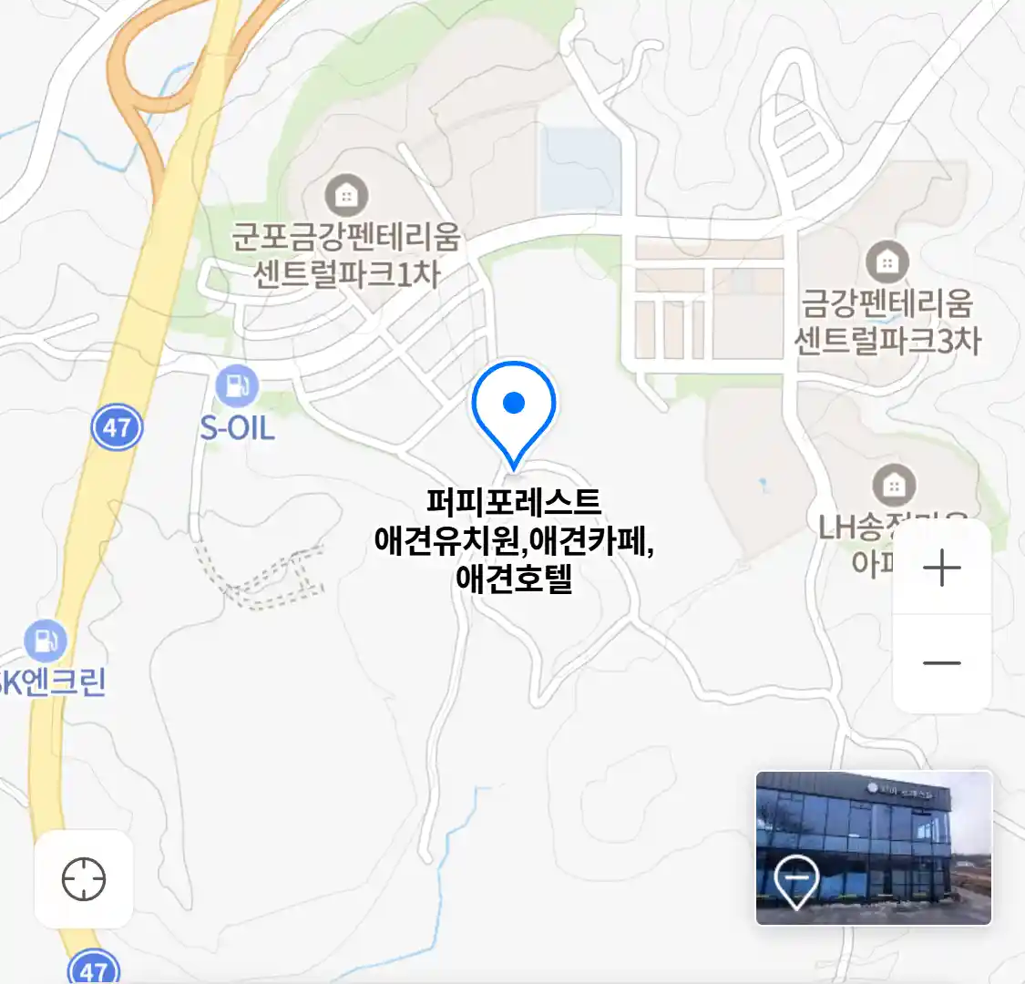 퍼피포레스트 애견유치원,애견카페,애견호텔