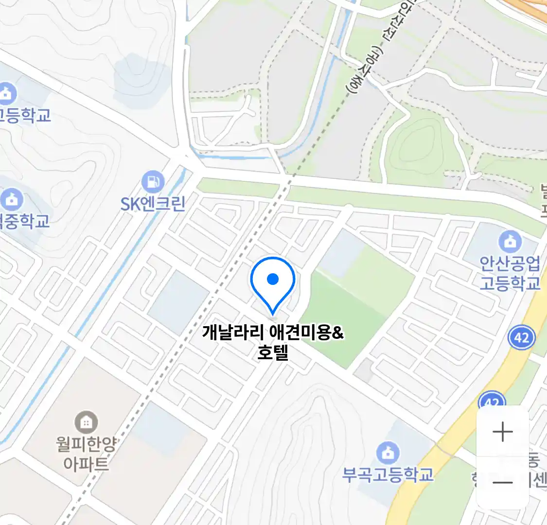 개날라리 애견미용&호텔