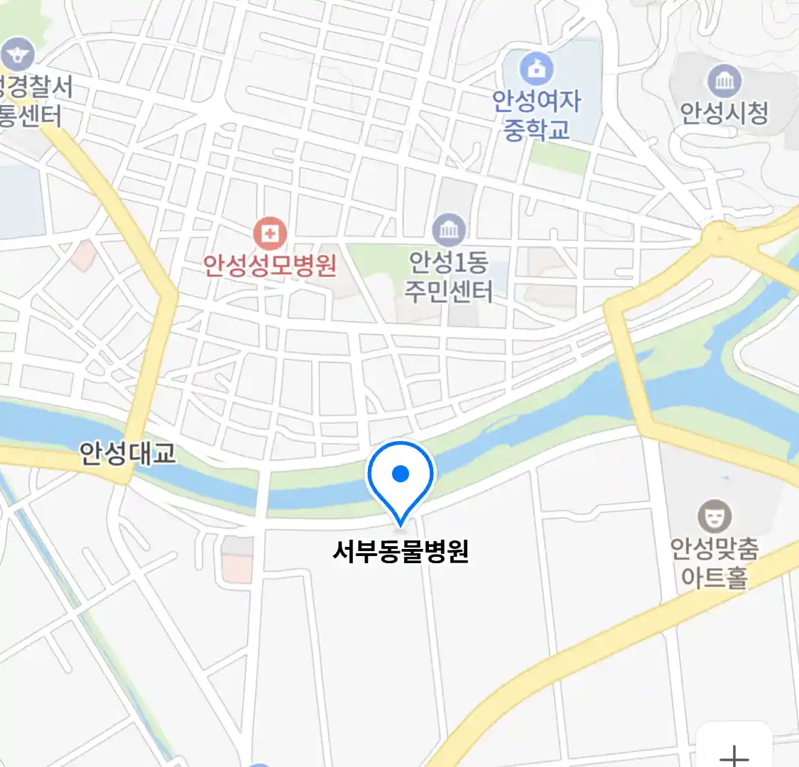 서부동물병원