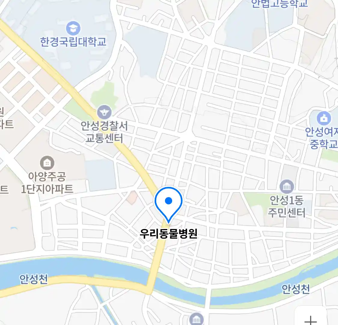 우리동물병원