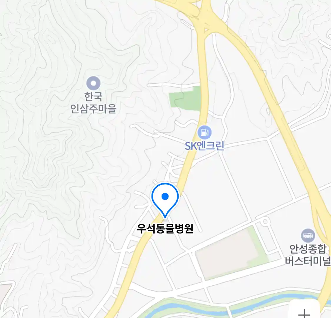 우석동물병원